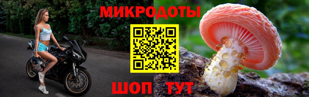 Галлюциногенные грибы мицелий  Псилоцибиновые грибы прущие грибы  Краснознаменск  продажа наркотиков  Вход с VPN 